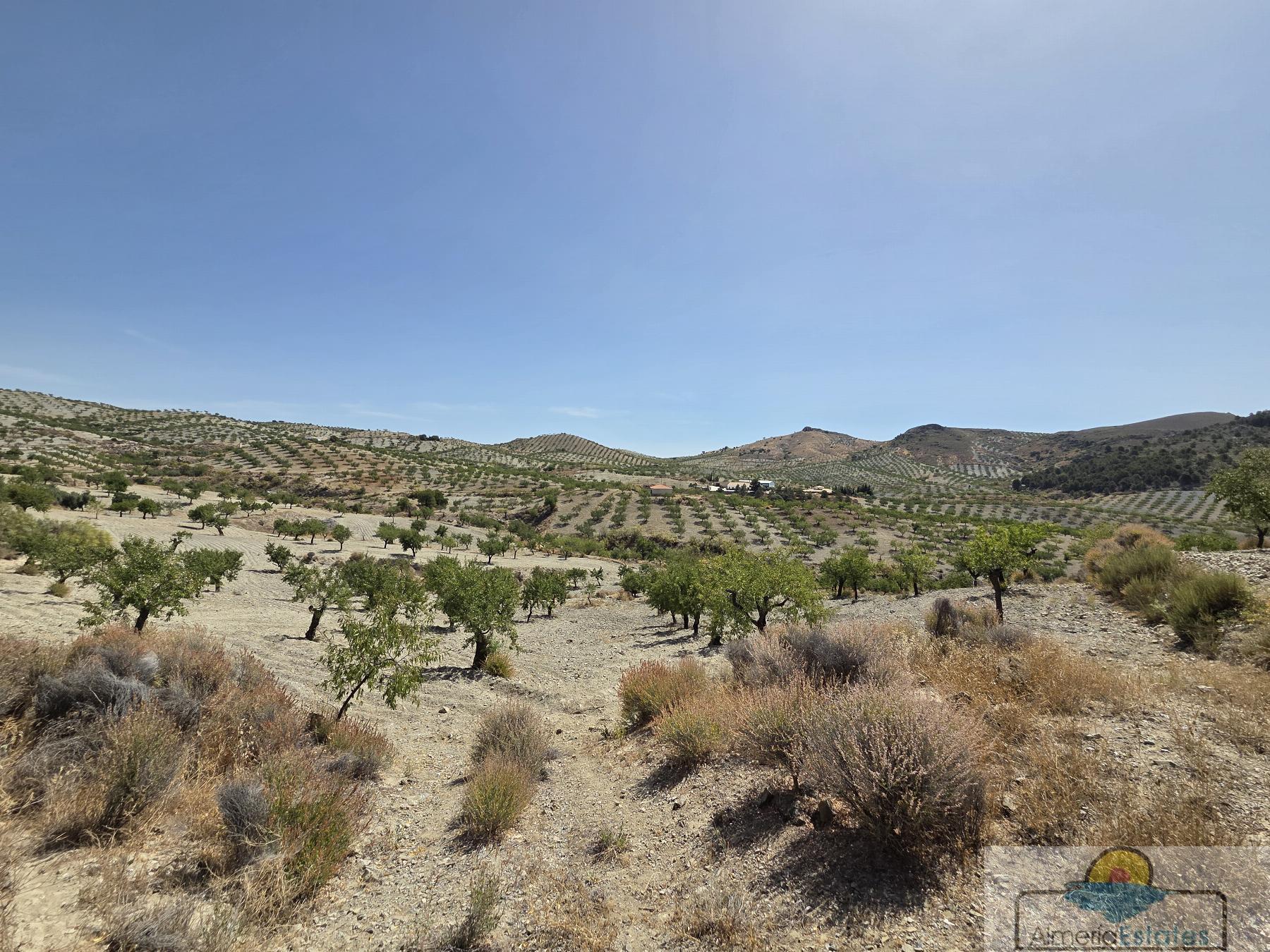 Venta de villa en Albox