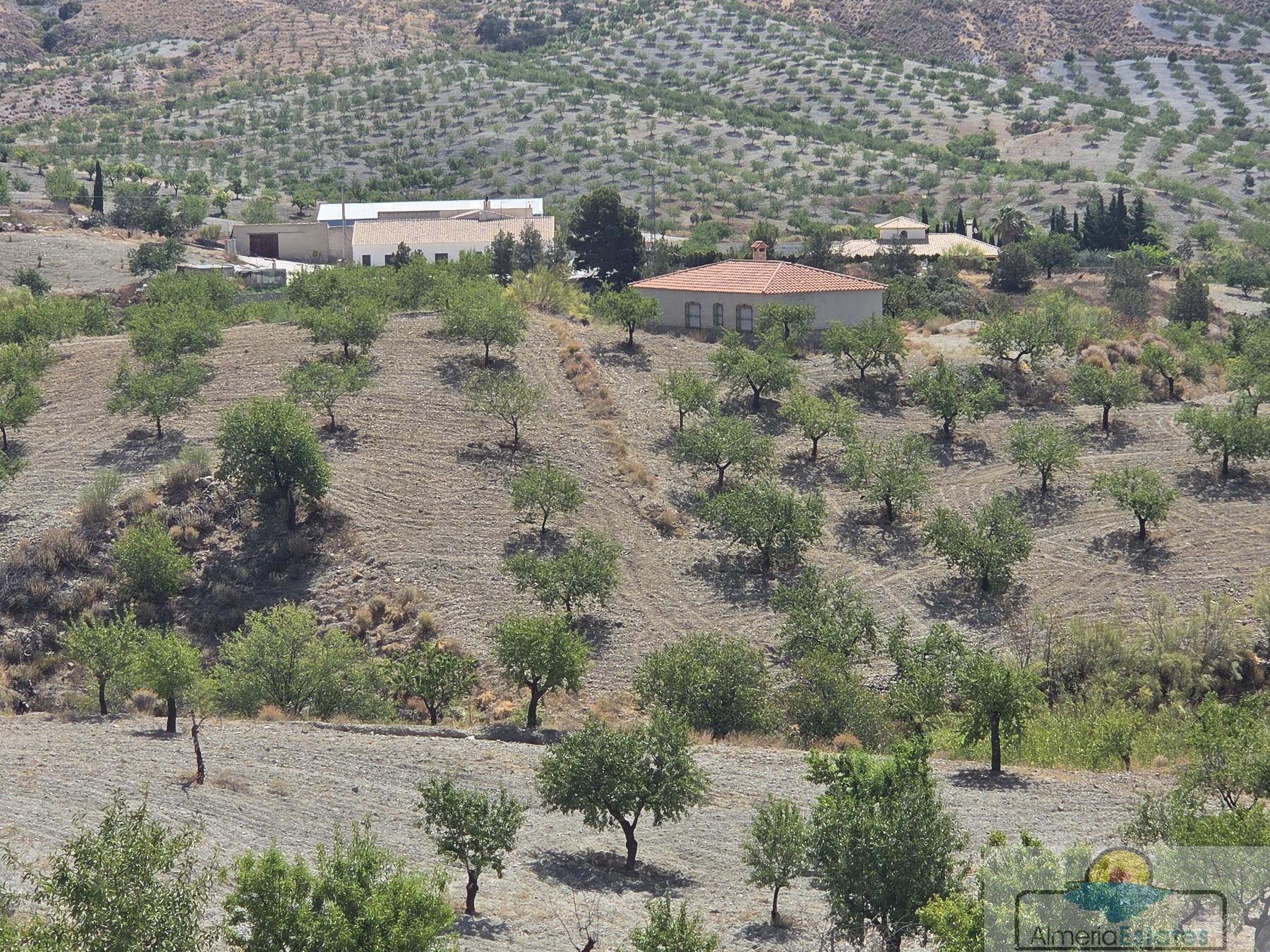 Venta de villa en Albox