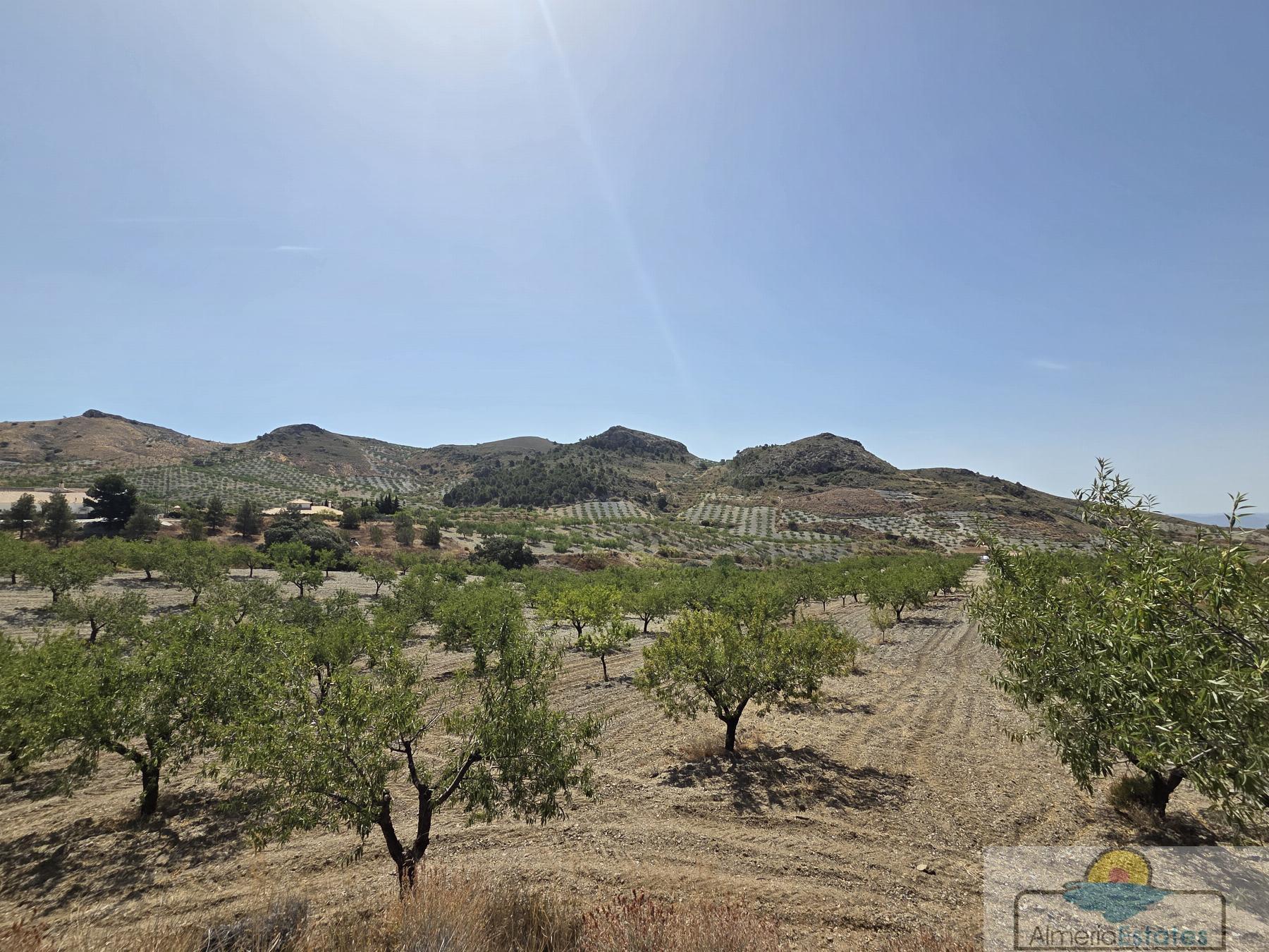 Venta de villa en Albox