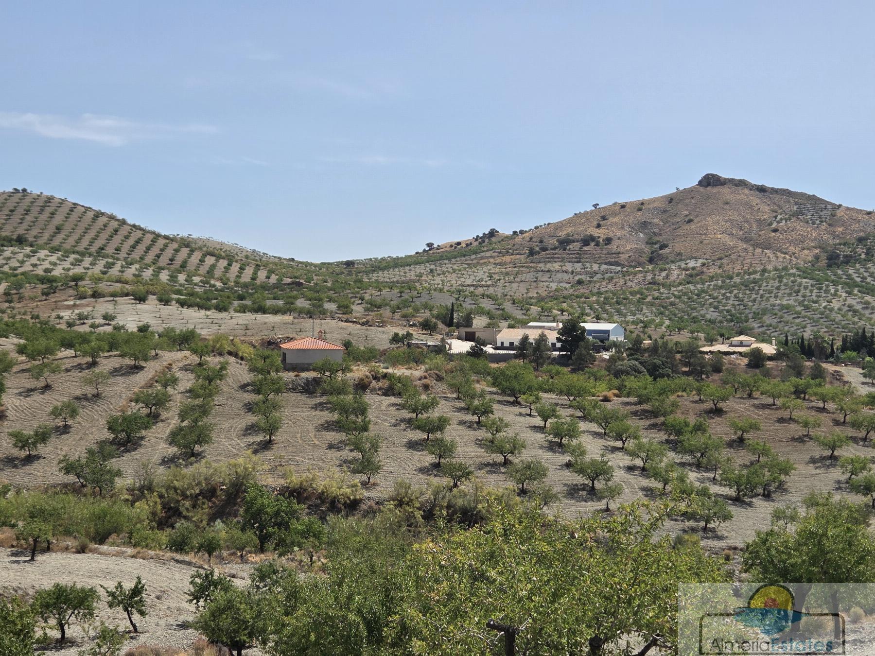 Venta de villa en Albox