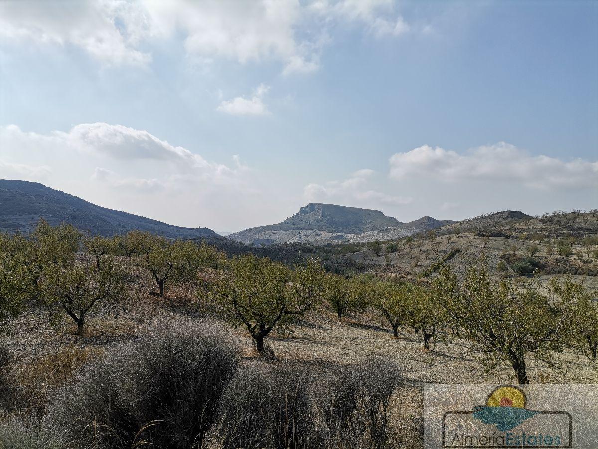 Venta de villa en Albox