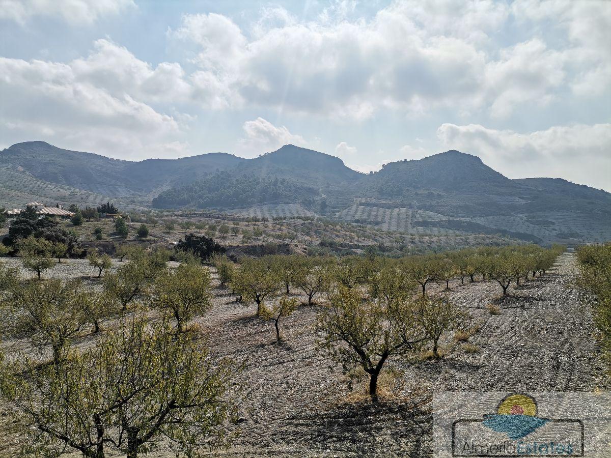 Venta de villa en Albox