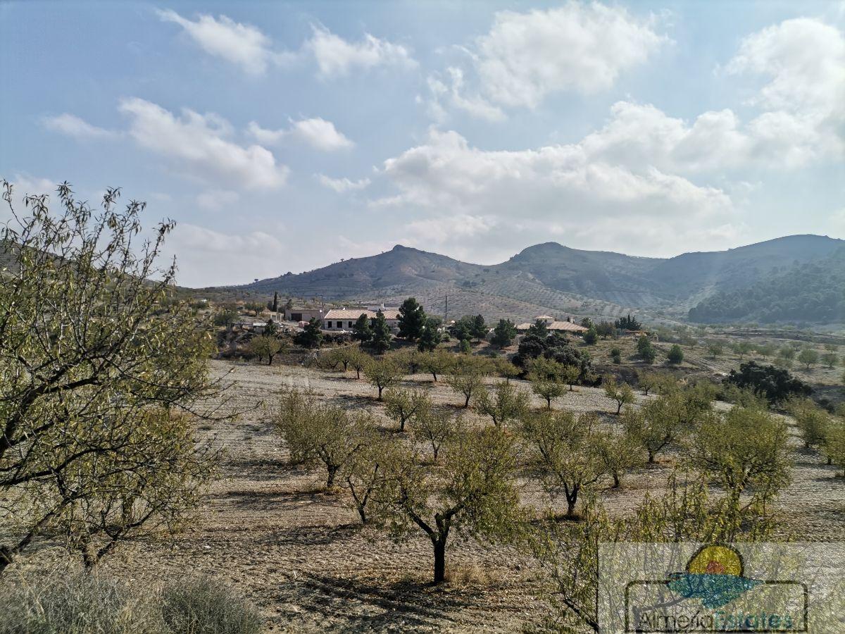 Venta de villa en Albox