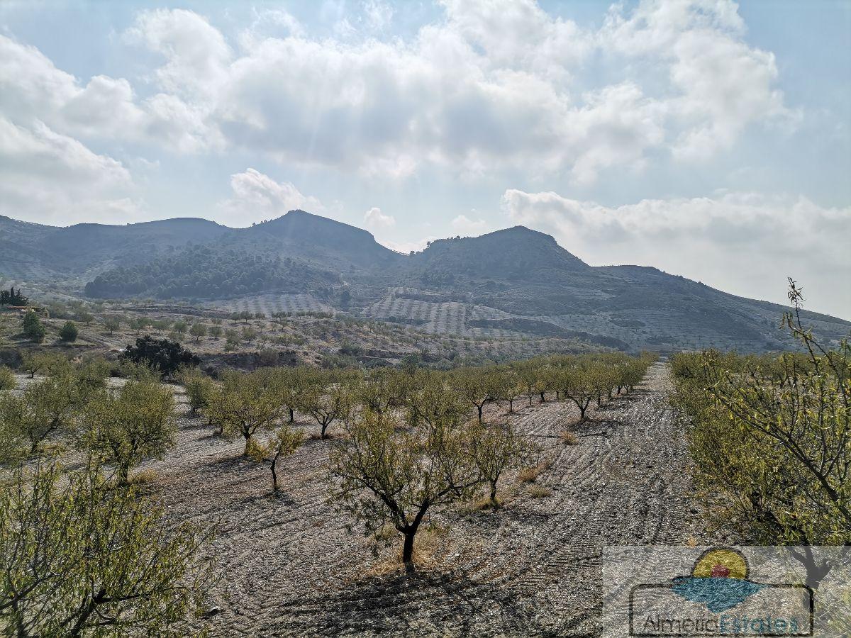 Venta de villa en Albox