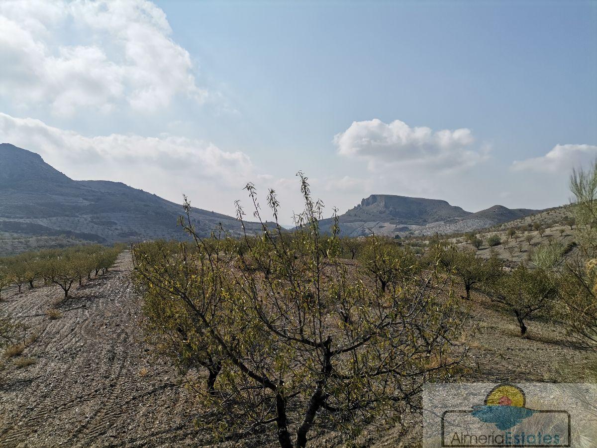 Venta de villa en Albox