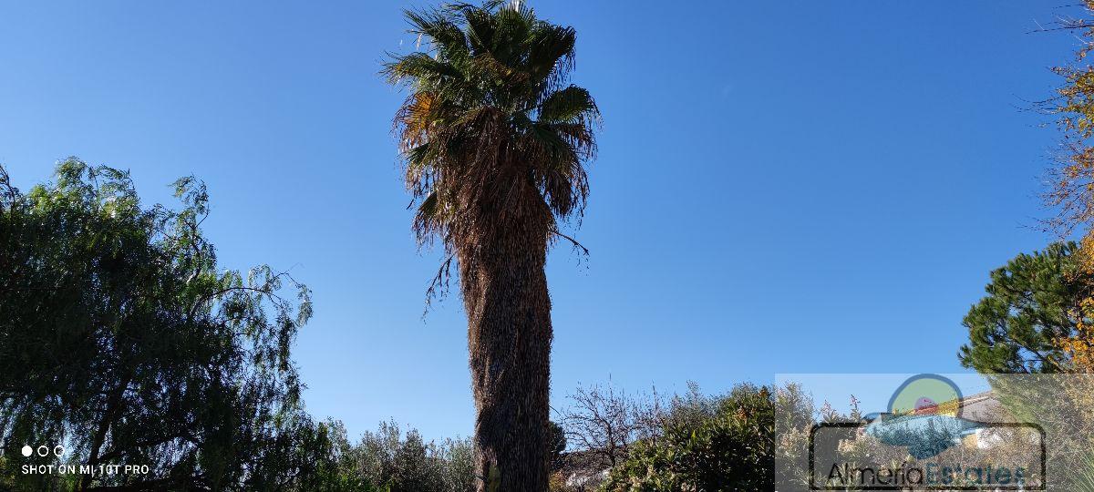 For sale of house in Albox