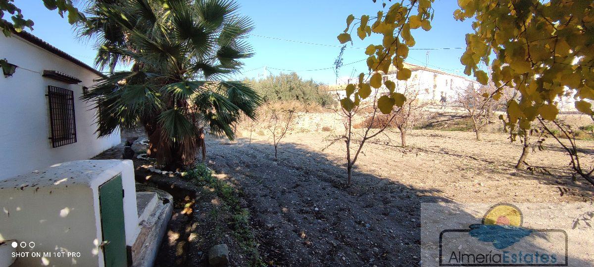 For sale of house in Albox