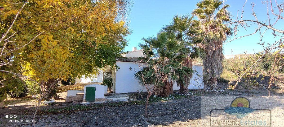 For sale of house in Albox