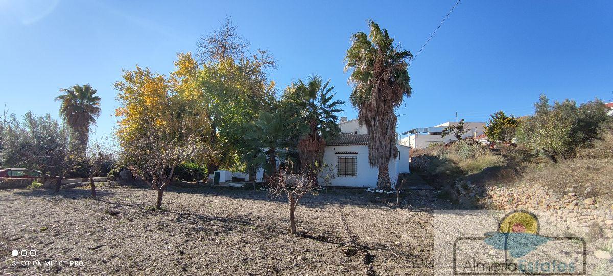 For sale of house in Albox