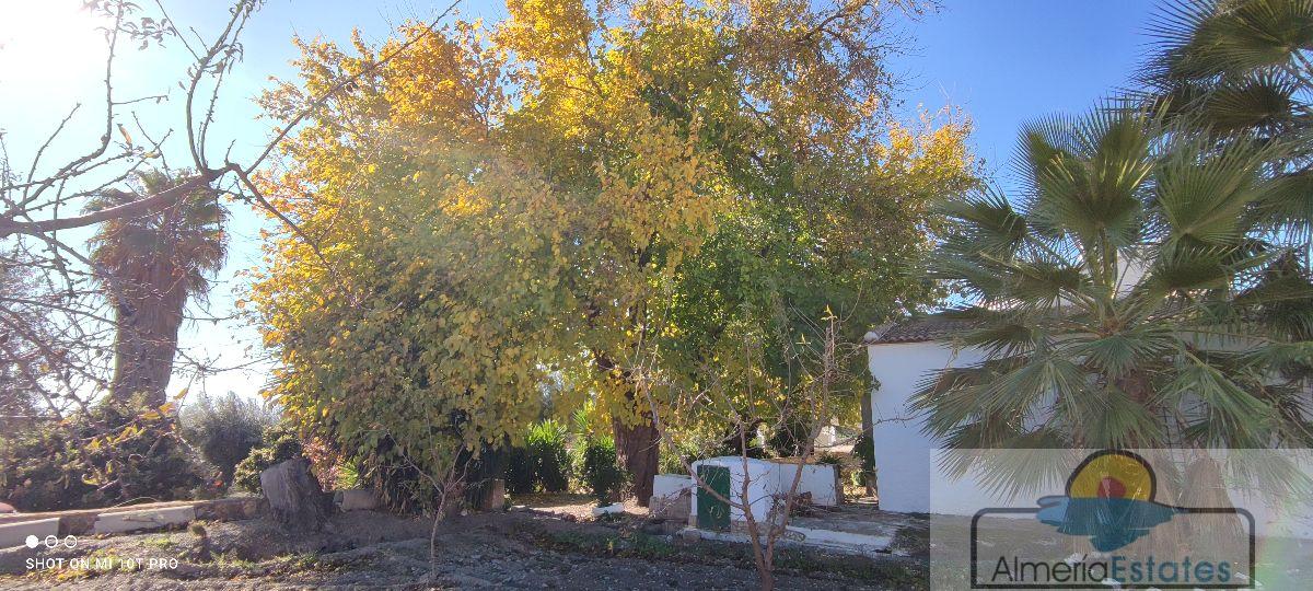 For sale of house in Albox