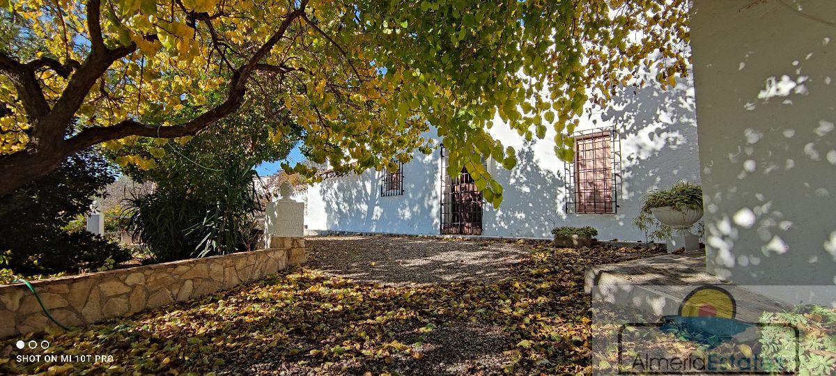 For sale of house in Albox