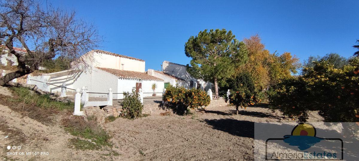 For sale of house in Albox