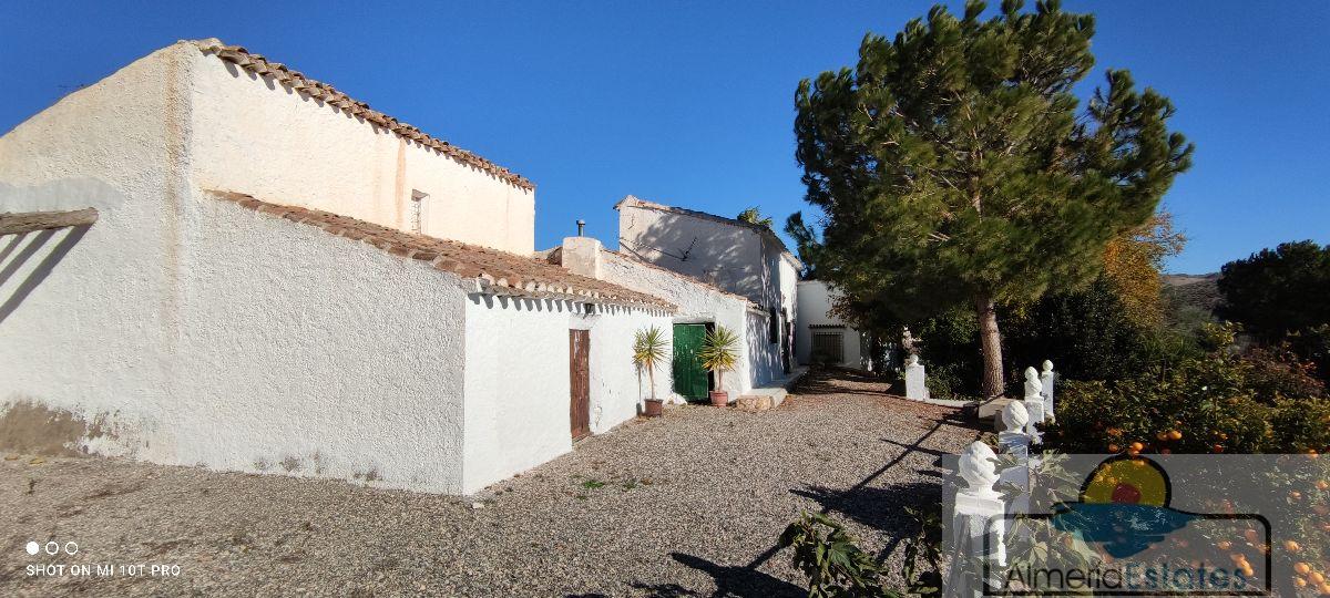 For sale of house in Albox