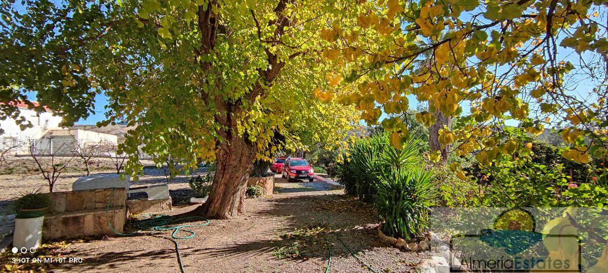 For sale of house in Albox