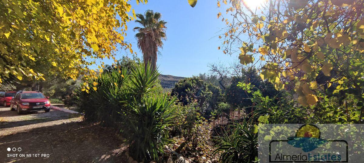 For sale of house in Albox