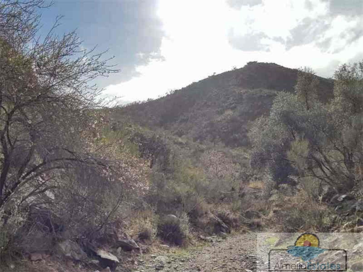 Venta de finca rústica en Albánchez