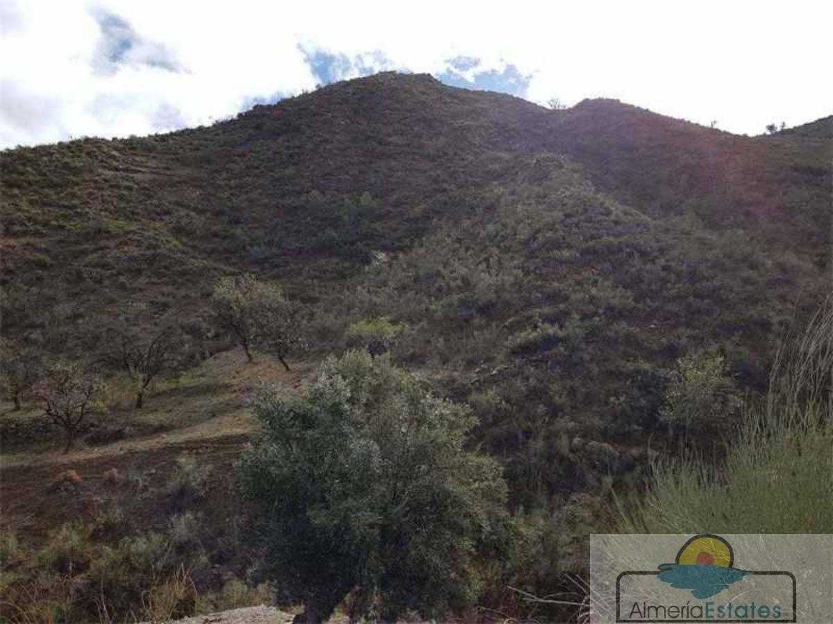 Venta de finca rústica en Albánchez