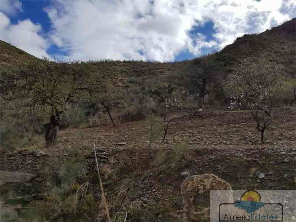 Venta de finca rústica en Albánchez