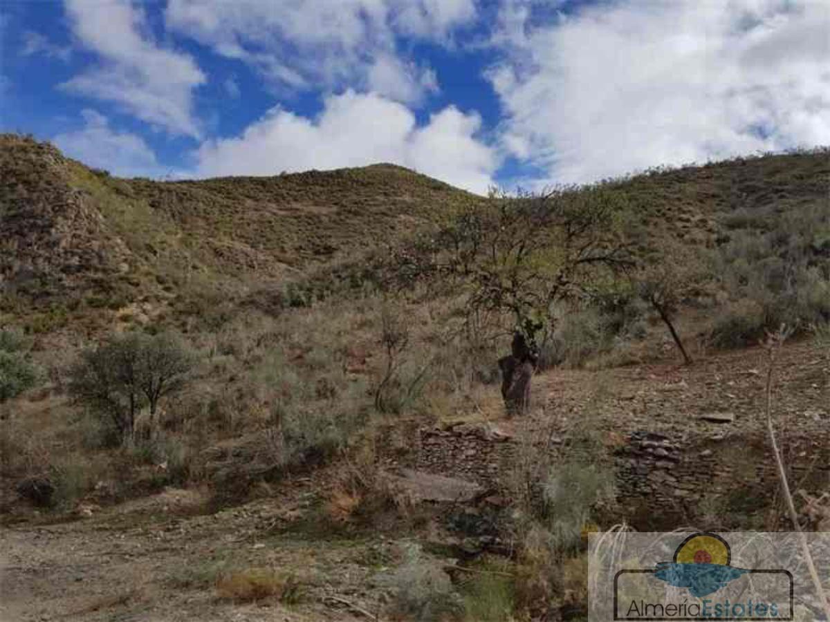 Venta de finca rústica en Albánchez