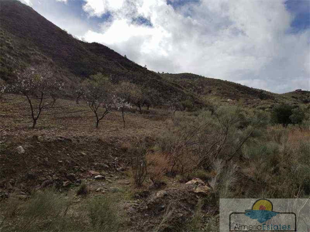 Venta de finca rústica en Albánchez