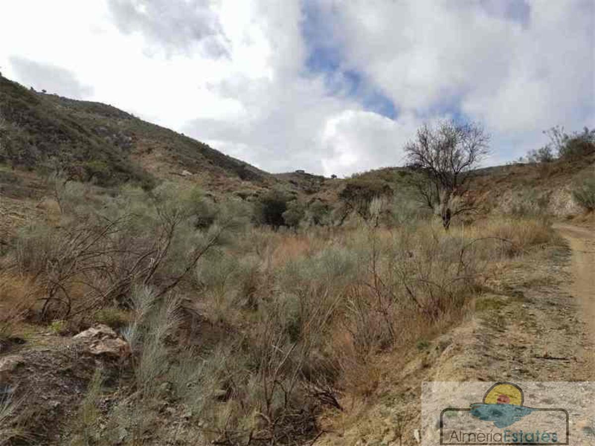 Venta de finca rústica en Albánchez