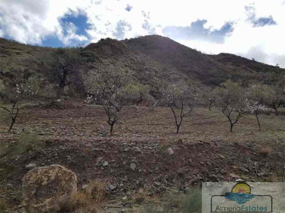 Venta de finca rústica en Albánchez