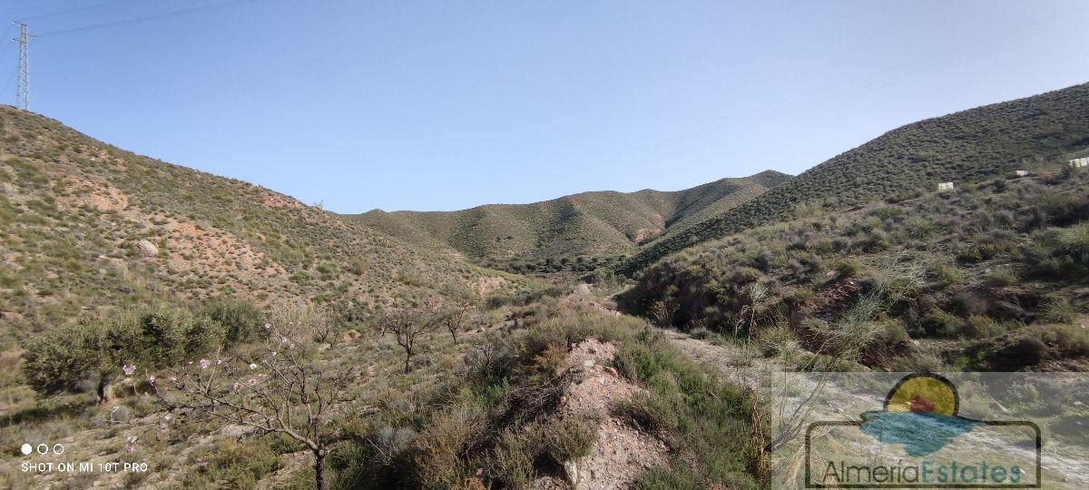 Venta de finca rústica en Olula del Río