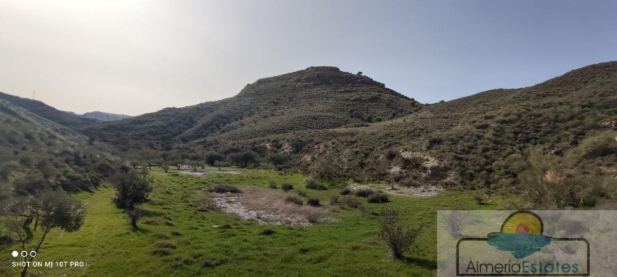 Venta de finca rústica en Olula del Río