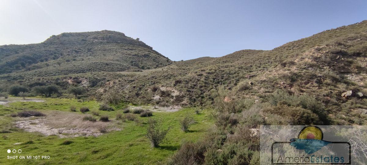 Venta de finca rústica en Olula del Río