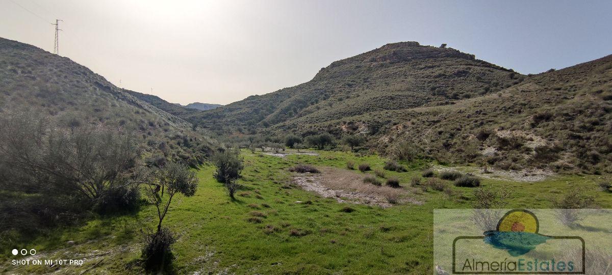 Venta de finca rústica en Olula del Río