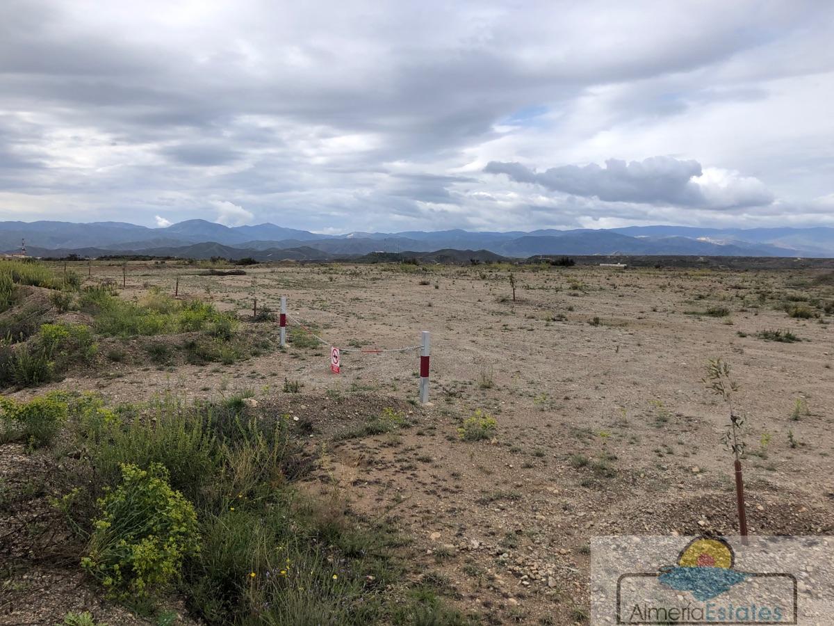 Venta de terreno en Albox