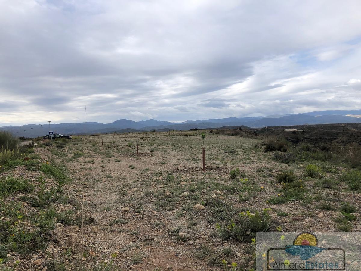 Venta de terreno en Albox