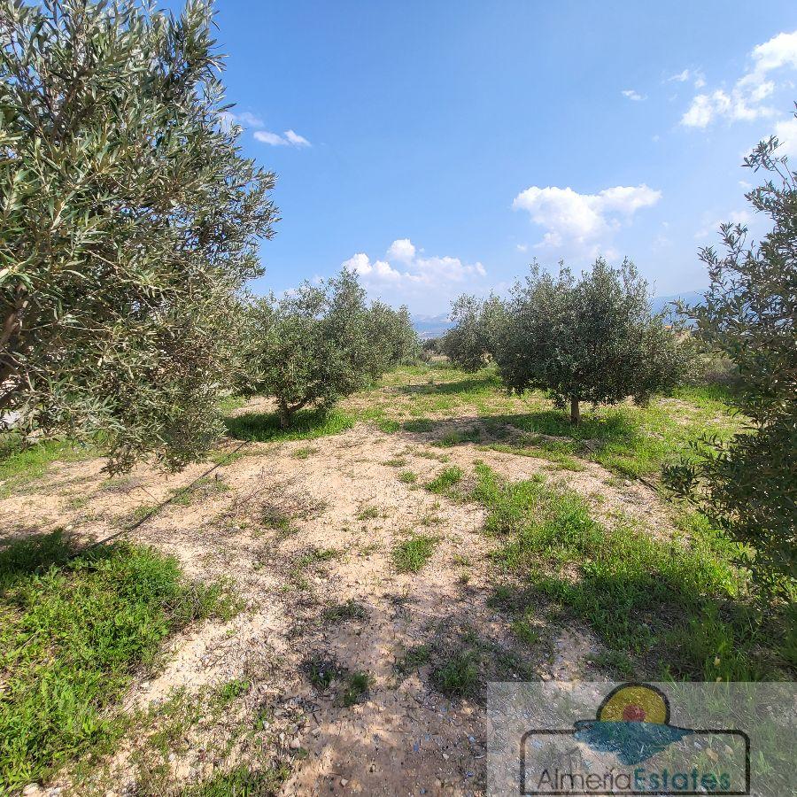 Venta de casa en Olula del Río