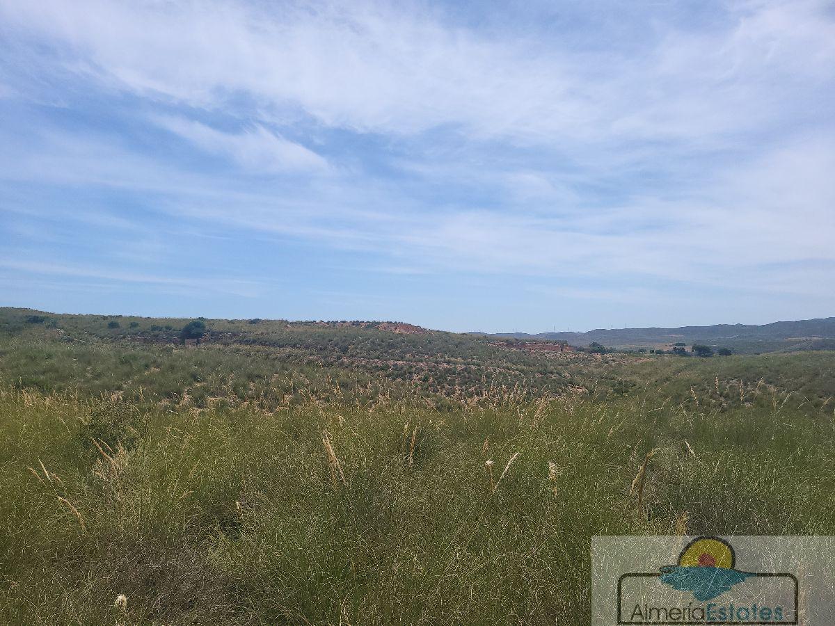 For sale of rural property in Sorbas