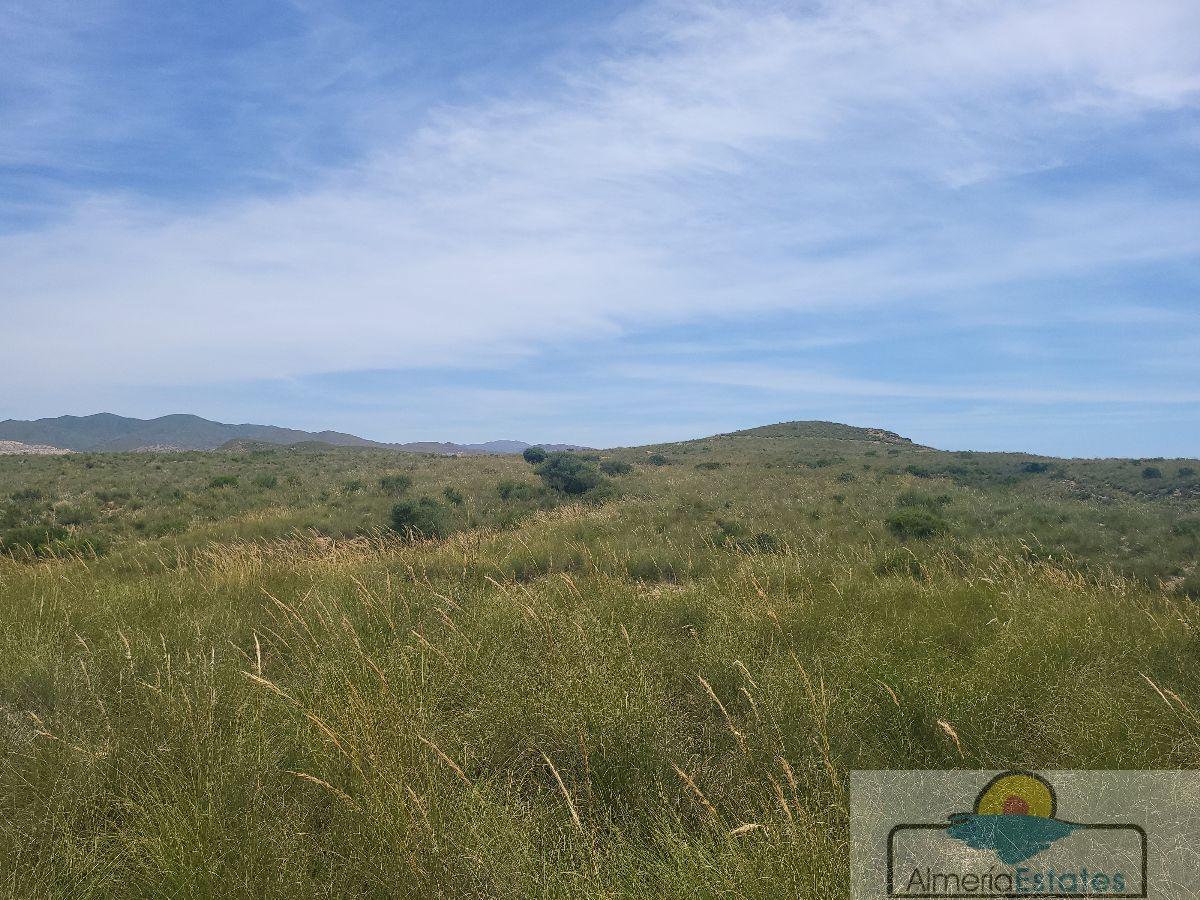 For sale of rural property in Sorbas