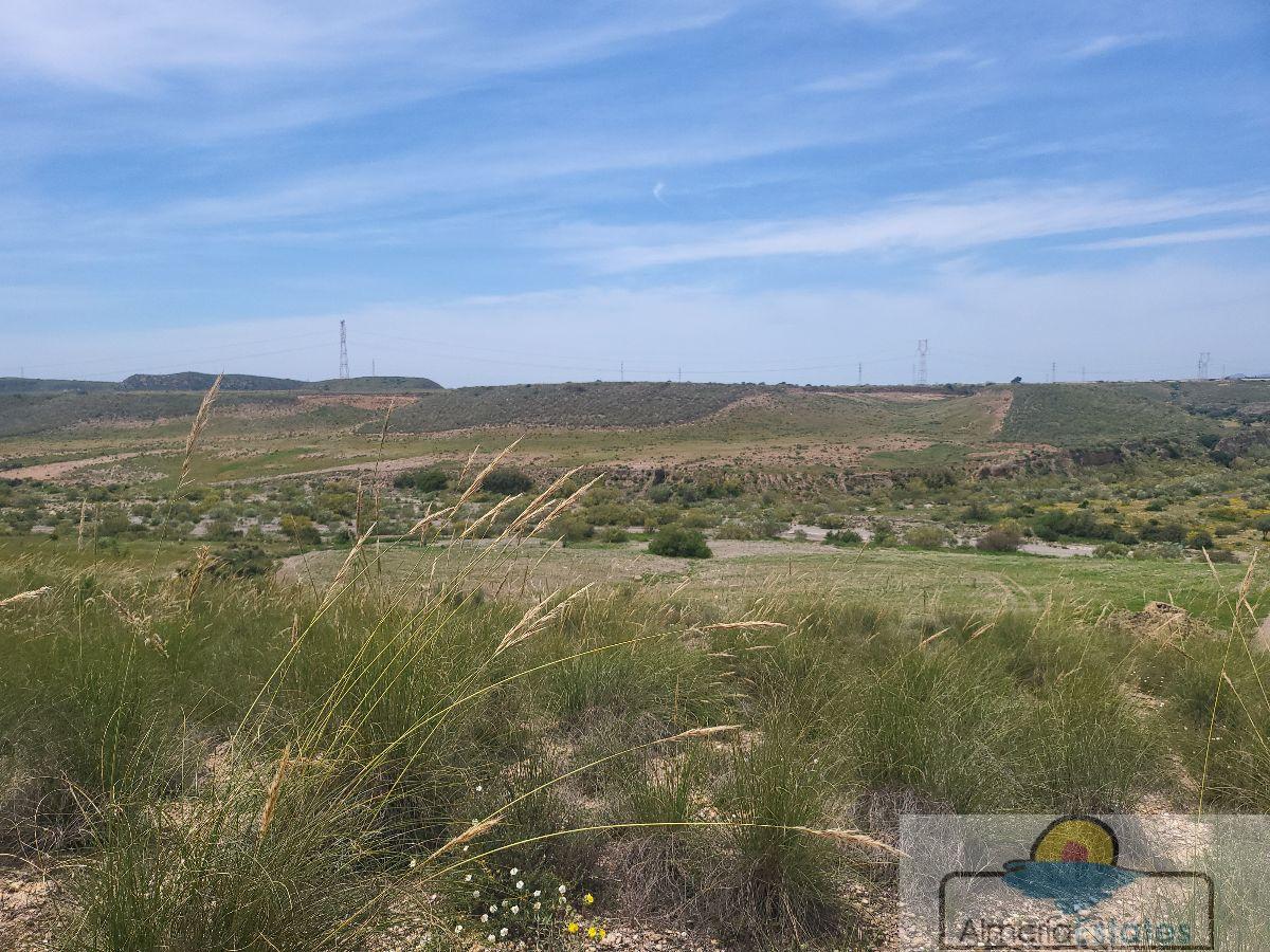 For sale of rural property in Sorbas