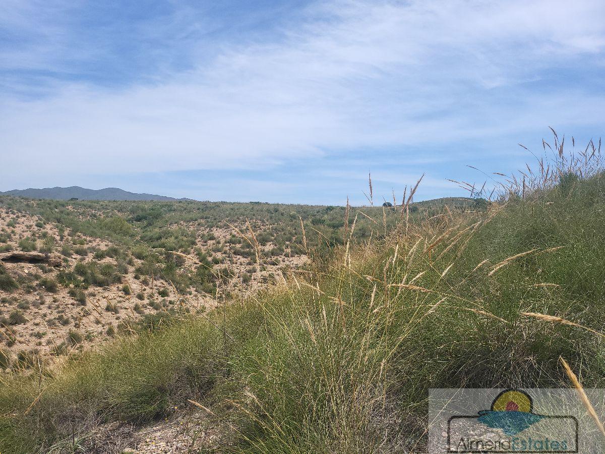 For sale of rural property in Sorbas