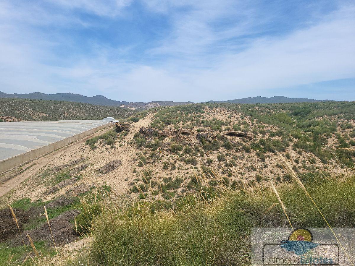 For sale of rural property in Sorbas