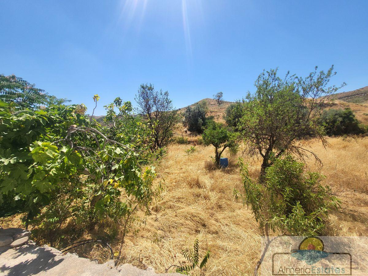 Venta de casa en Albánchez