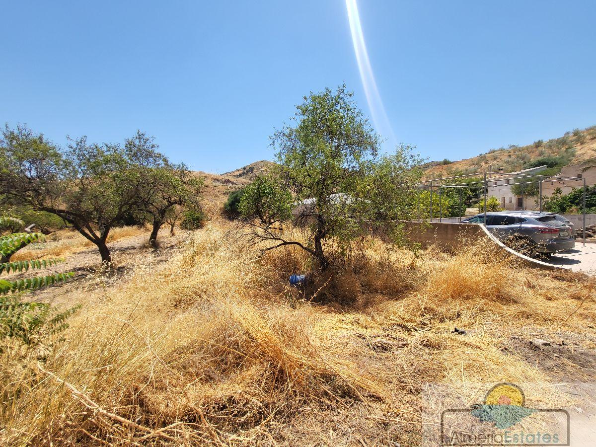 Venta de casa en Albánchez