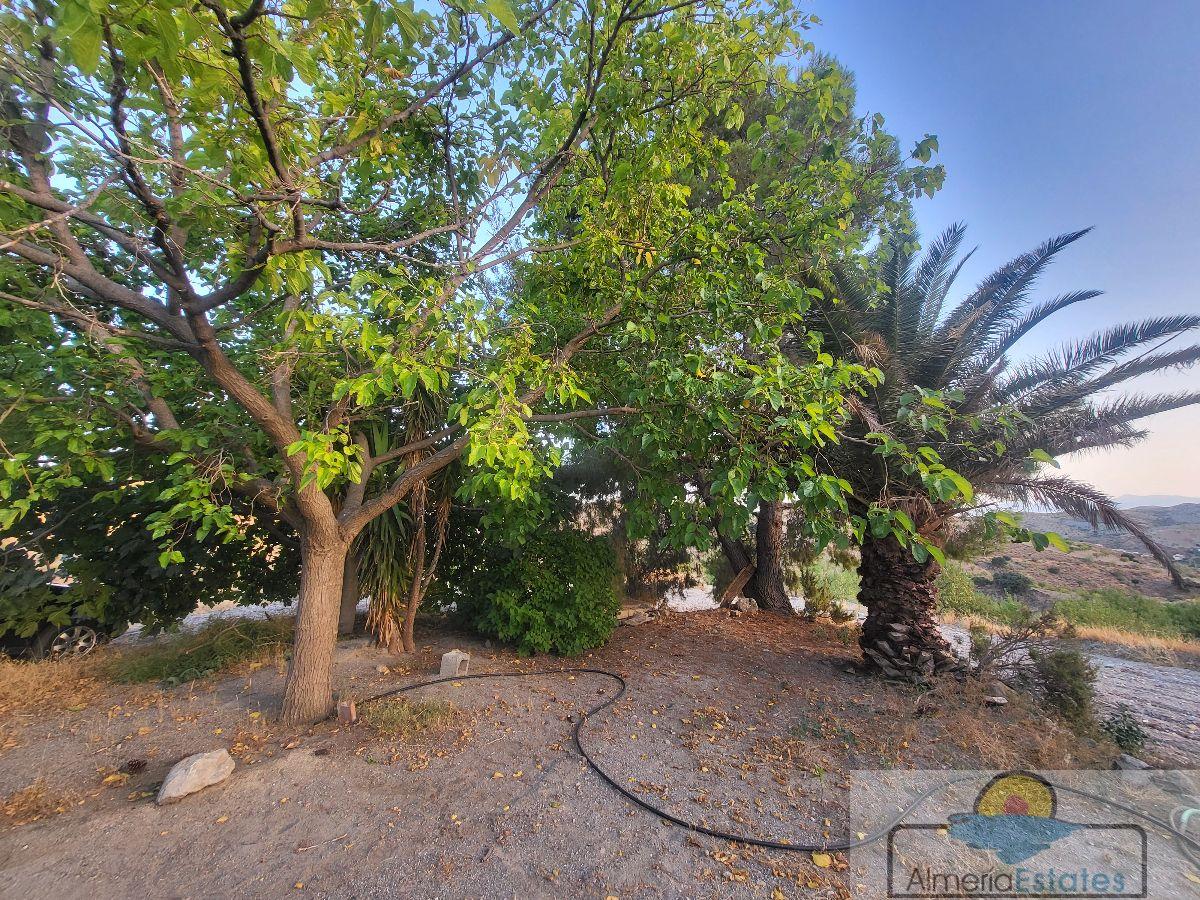 Venta de casa en Albox