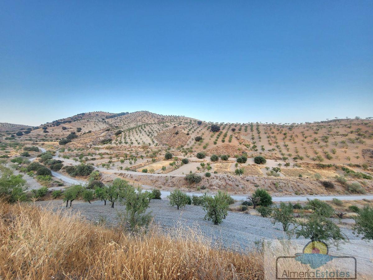 Venta de casa en Albox