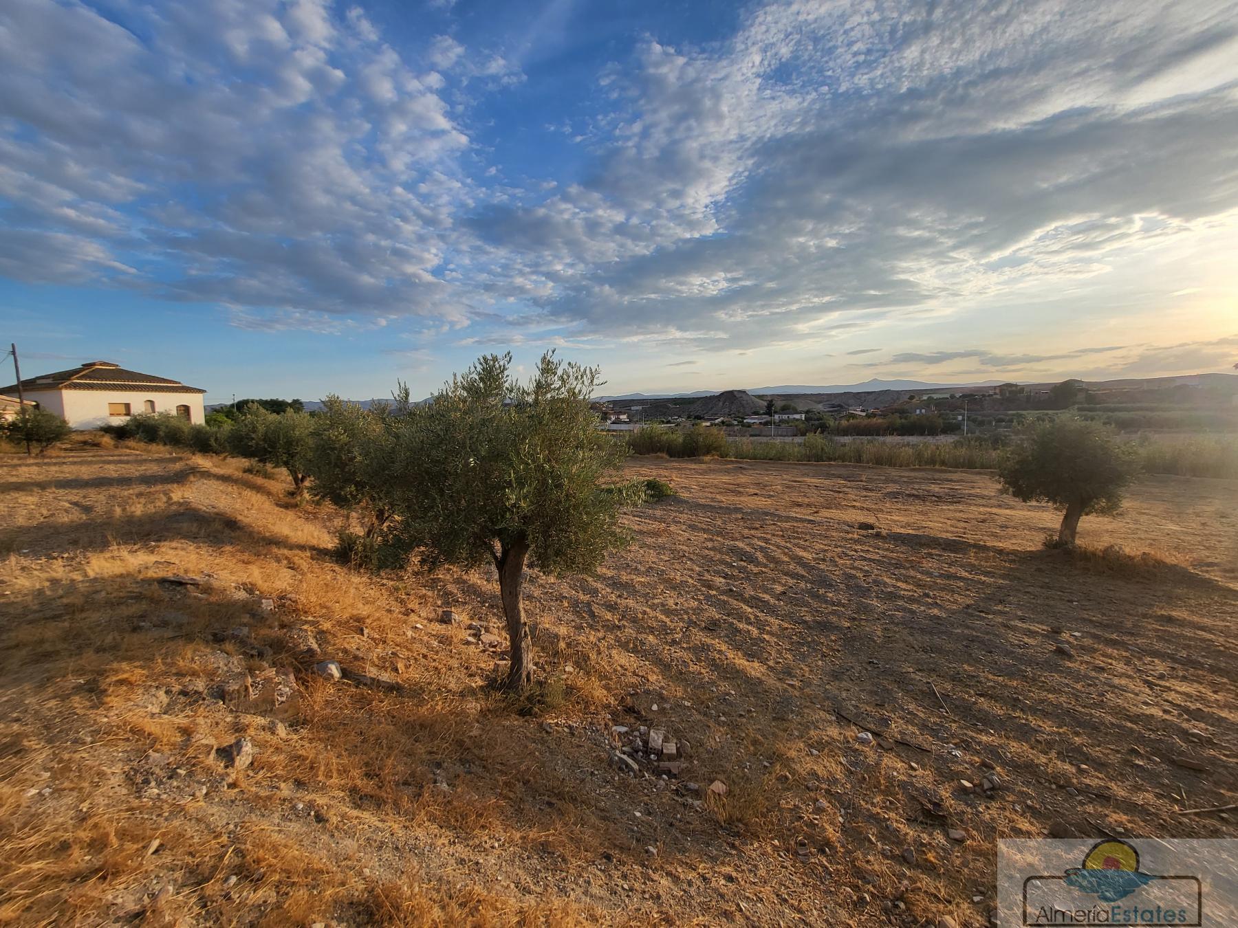 Venta de villa en Albox