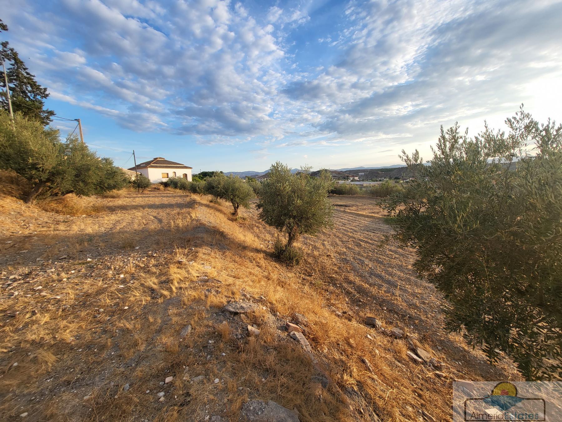 Venta de villa en Albox