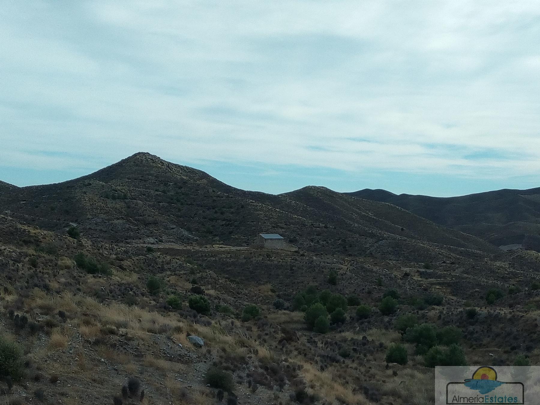 For sale of rural property in Taberno