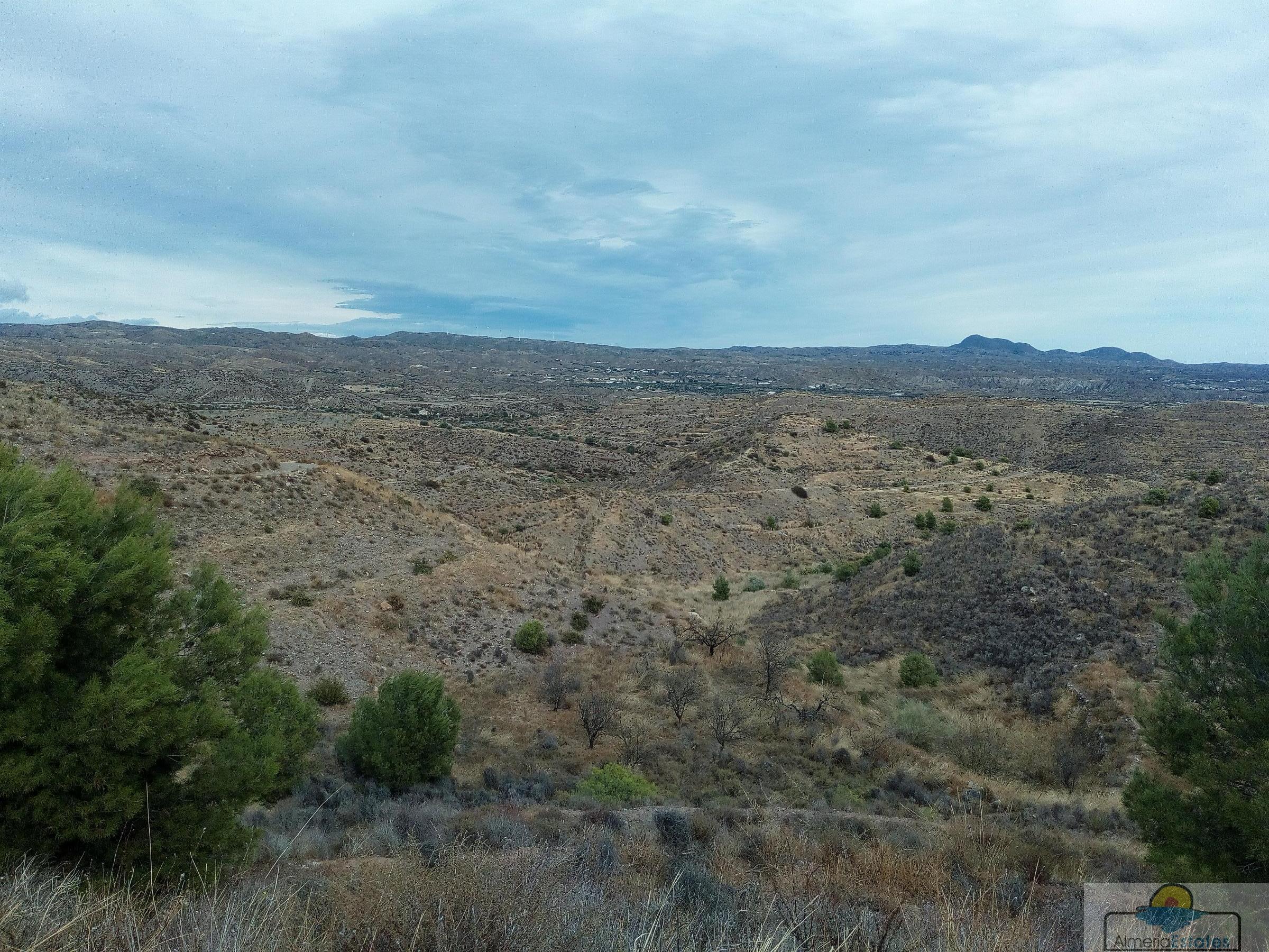 For sale of rural property in Taberno