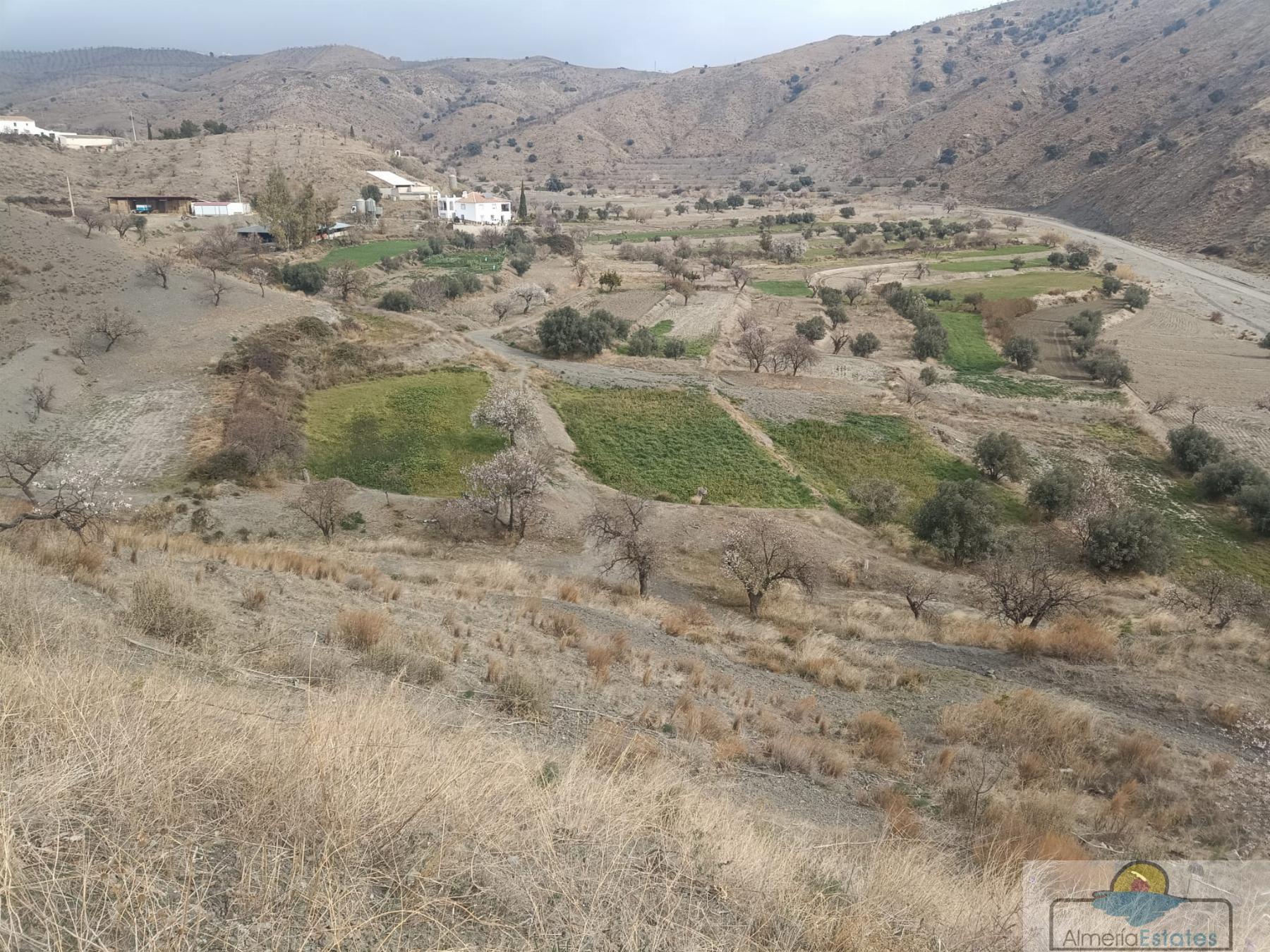For sale of house in Taberno