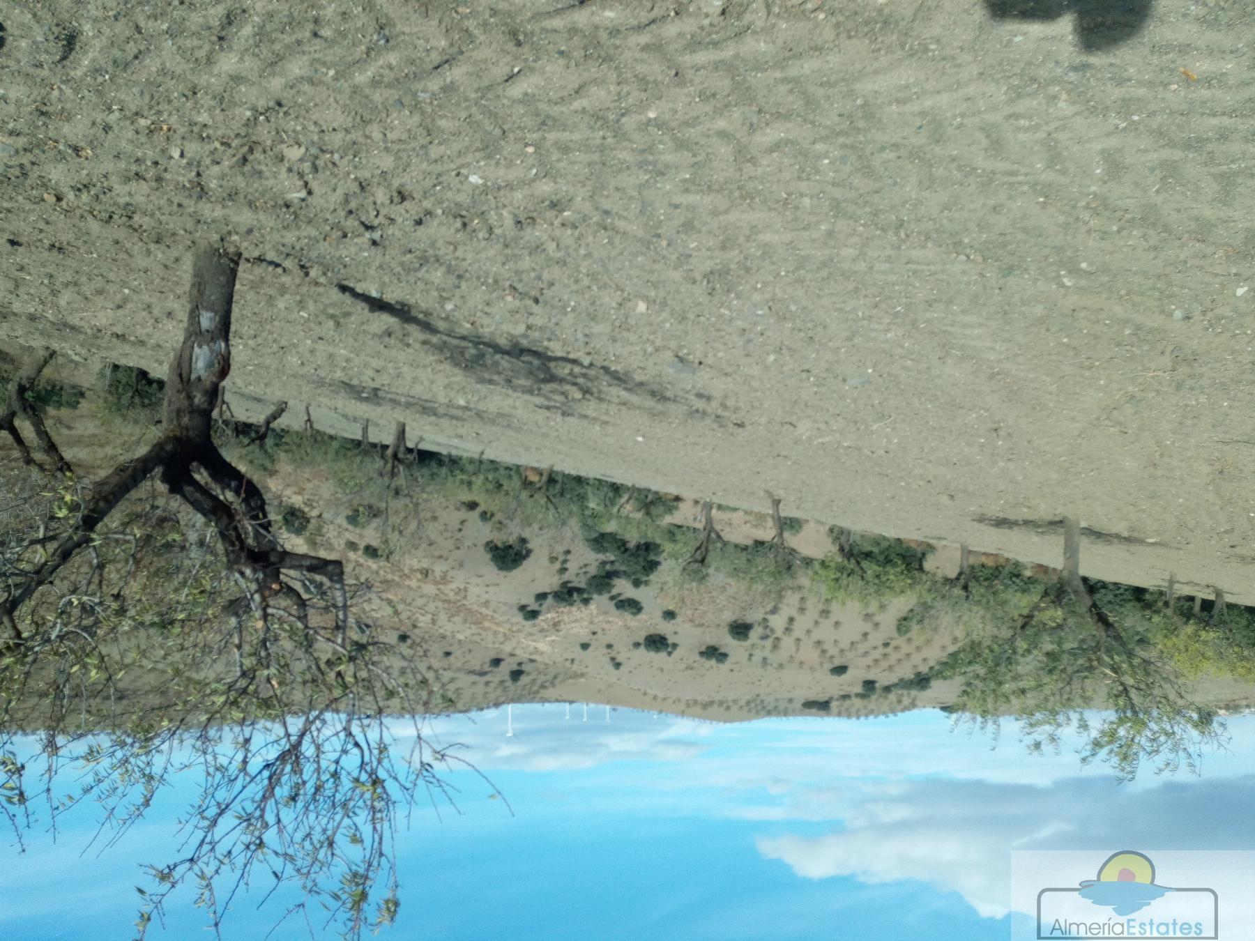 Venta de finca rústica en Taberno