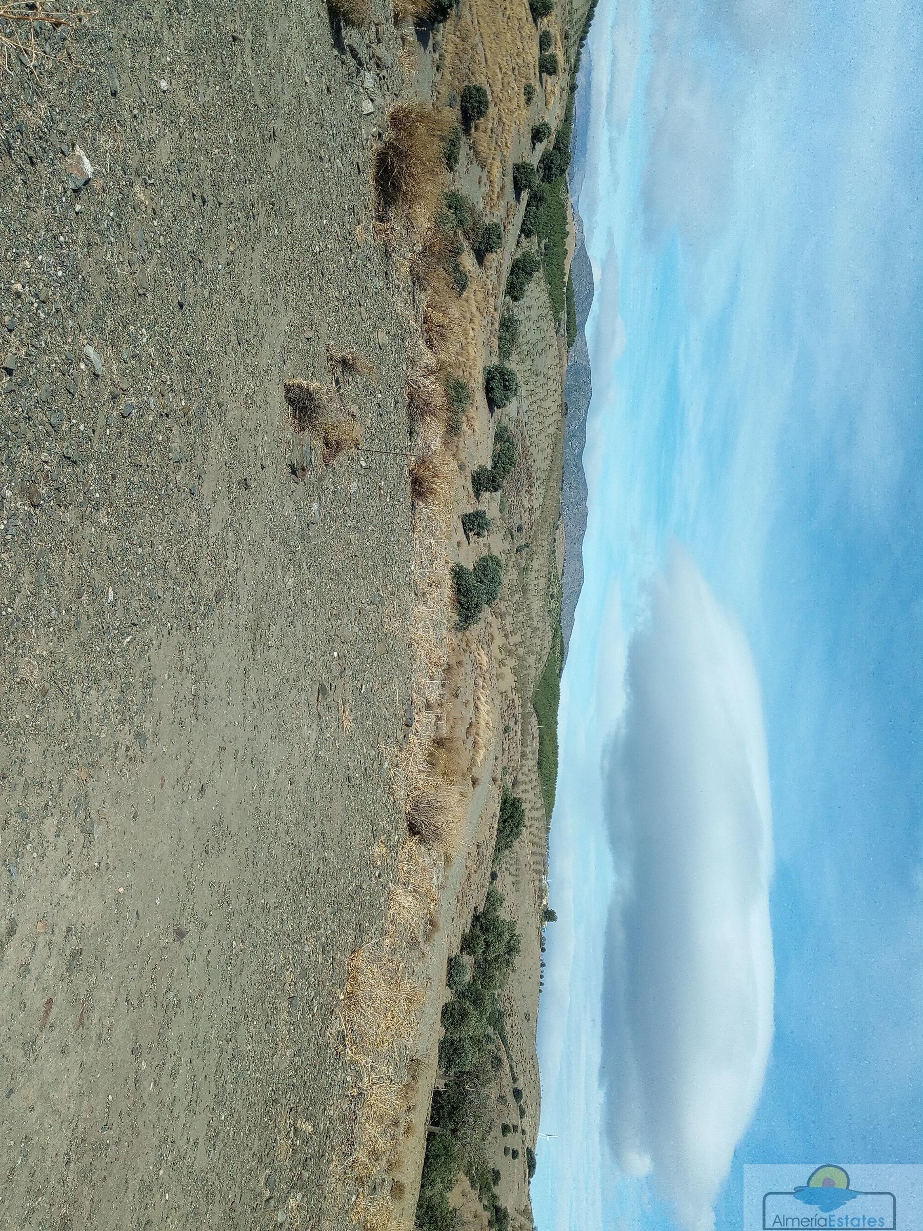 Venta de finca rústica en Taberno