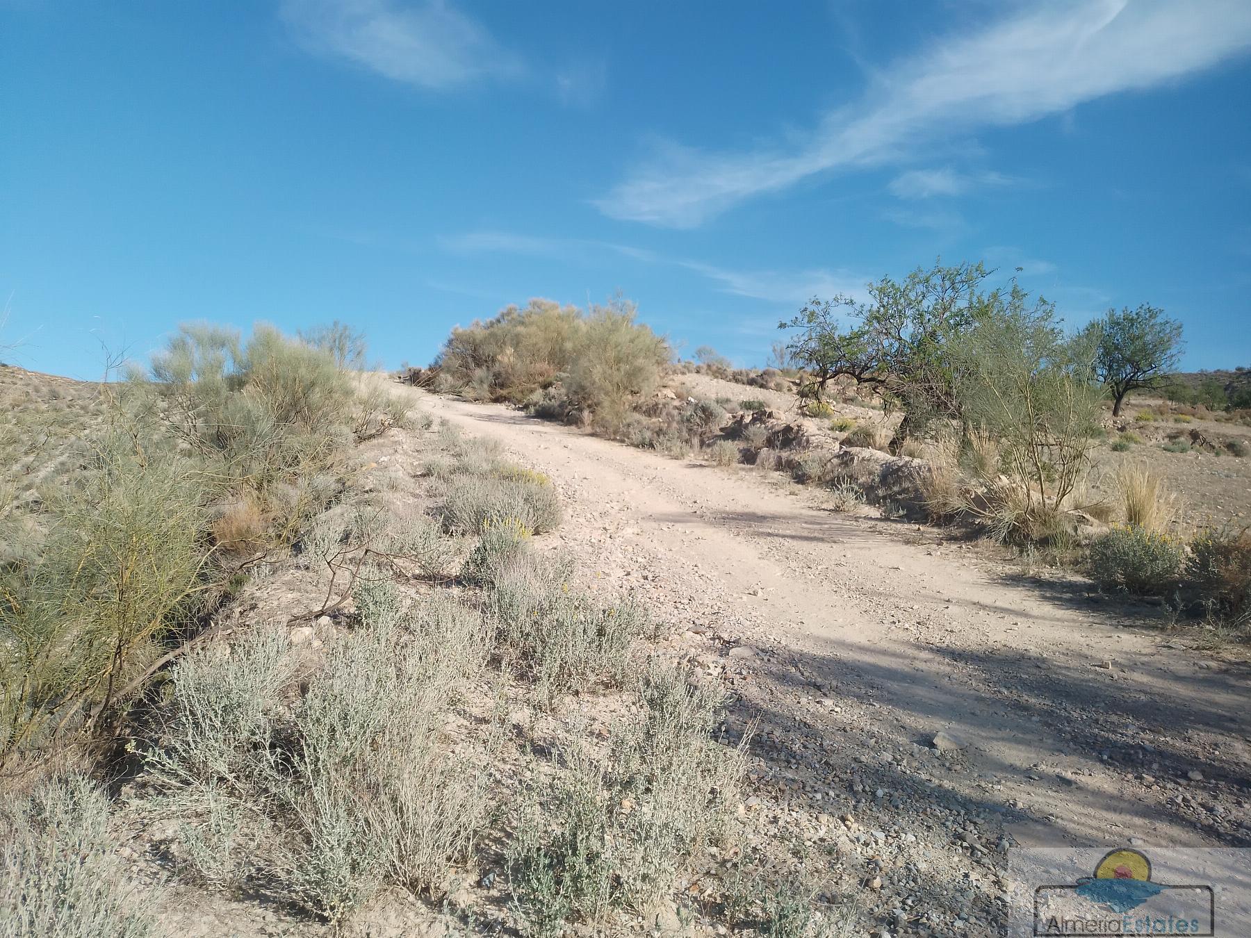 Venta de finca rústica en Cantoria